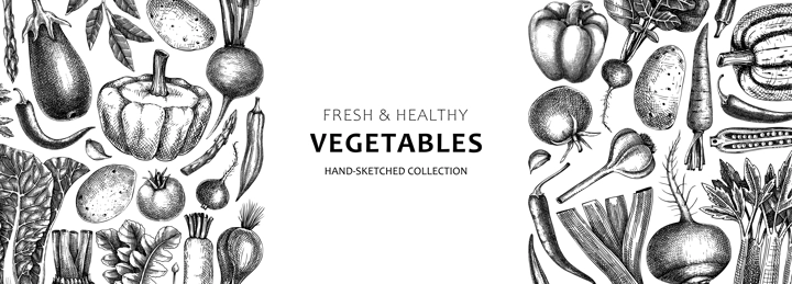 Hand-sketched vegetables design. Hand-drawn tomatoes, squashes, peppers, potatoes, asparagus and other vegetables. Healthy food banner for menu, restaurant, packaging, labels. Botanical illustration 